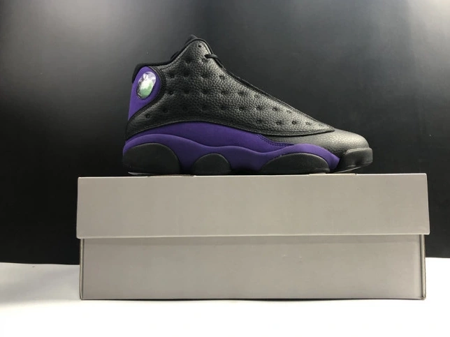 Purple Jordan Air Court DJ5982-015 13 1112